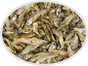 Artemia Koral Stynka suszona 500g - Naturalny pokarm dla dużych ryb mięsożernych, drapieżnych, piranii i żółwi.