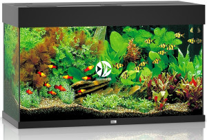 JUWEL Rio 125 LED Czarny - Akwarium z pełnym wyposażeniem bez szafki, 5 kolorów do wyboru