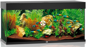 JUWEL Rio 180 LED Czarny - Akwarium z pełnym wyposażeniem bez szafki, 5 kolorów do wyboru