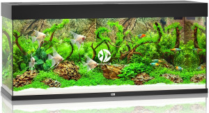 JUWEL Rio 240 LED Czarny - Akwarium z pełnym wyposażeniem bez szafki, 5 kolorów do wyboru
