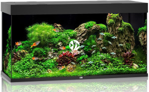 JUWEL Rio 350 LED Czarny - Akwarium z pełnym wyposażeniem bez szafki, 5 kolorów do wyboru