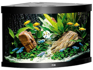 JUWEL Trigon 350 LED (2x belka) Czarny - Akwarium z pełnym wyposażeniem bez szafki, 3 kolory do wyboru
