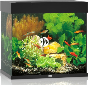 JUWEL Lido 120 LED Czarny - Zestaw akwarystyczny bez szafki, 4 kolory do wyboru