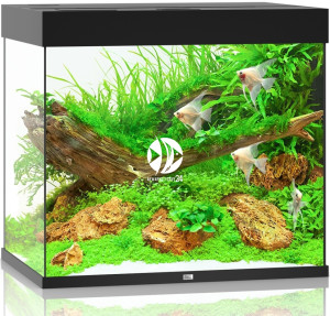 JUWEL Lido 200 LED Czarny - Zestaw akwarystyczny bez szafki, 4 kolory do wyboru