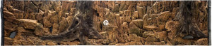 ATG Tło Standard 200x50 cm - Tło uniwersalne do akwarium, zawiera motywy skał i korzeni