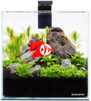 AQUALIGHTER Pico Set 5L - Zestaw akwariowy ze szkła OPTI-WHITE z oświetleniem