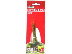 AZOO HAIRGRASS (10cm) - Roślina sztuczna z tkanymi liśćmi