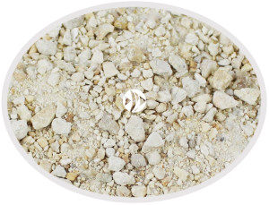 MARCO ROCKS Bahama Sand 1kg - Naturalny piasek aragonitowy w jasnym kolorze o różnorodnej granulacji i odcieniu.