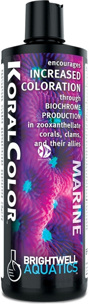 BRIGHTWELL AQUATICS KoralColor 500ml - Formuła wzmacniająca wybarwienie koralowców, małży i organizmów im pokrewnych.