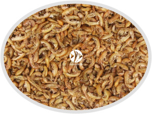 Artemia Koral Gammarus suszony 1000g - Naturalny pokarm dla ryb, żółwi, gadów i ptaków.