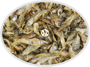 Artemia Koral Stynka suszona 1000g - Naturalny pokarm dla dużych ryb mięsożernych, drapieżnych, piranii i żółwi.