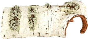 AQUA DELLA Burk M - Sztuczna kora drzewa, brzozy, dekoracja do akwarium