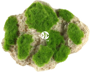 AQUA DELLA Moss Stone - Sztuczna skała z mchem, wisząca wraz z przyssawkami do akwarium