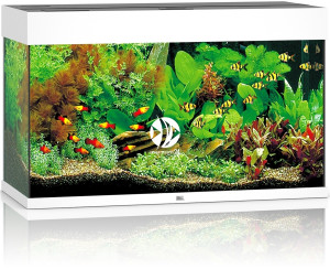 JUWEL Rio 125 LED Biały - Akwarium z pełnym wyposażeniem bez szafki, 5 kolorów do wyboru
