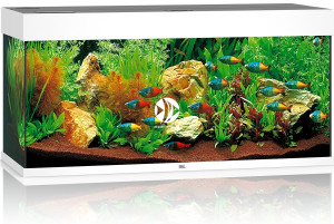 JUWEL Rio 180 LED Biały - Akwarium z pełnym wyposażeniem bez szafki, 5 kolorów do wyboru