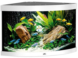 JUWEL Trigon 350 LED (2x belka) Biały - Akwarium z pełnym wyposażeniem bez szafki, 3 kolory do wyboru