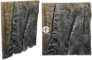 Back To Nature Slim Line Amazonas 50B 50x45cm - Płaskie tło modułowe z motywem korzenia i skał do akwarium i terrarium