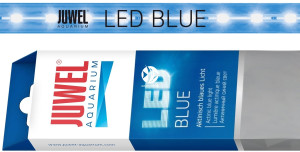 JUWEL Blue LED 590 mm (11W) - Świetlówka LED do belek oświetleniowych MultiLux LED, dająca aktyniczne niebieskie światło