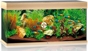 JUWEL Rio 180 HeliaLux Spectrum Jasne drewno (dąb) - Akwarium z pełnym wyposażeniem bez szafki, 5 kolorów do wyboru