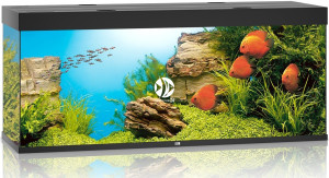 JUWEL Rio 450 LED (2x belka) Czarny - Akwarium z pełnym wyposażeniem bez szafki, 5 kolorów do wyboru
