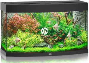 JUWEL Vision 180 HeliaLux Spectrum Czarny - Akwarium z pełnym wyposażeniem bez szafki, 3 kolory do wyboru