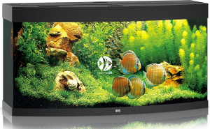 JUWEL Vision 260 HeliaLux Spectrum Czarny - Akwarium z pełnym wyposażeniem bez szafki, 3 kolory do wyboru