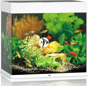 JUWEL Lido 120 HeliaLux Spectrum Biały - Zestaw akwarystyczny bez szafki, 4 kolory do wyboru