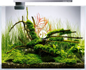 FLEXI Mini Scape Set Srebrny 16L - Zestaw akwariowy, oświetlenie, filtr kaskadowy i podkładka