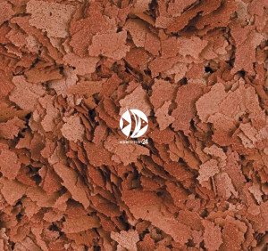 TROPICAL D-50 Plus Flakes 185g (rozważany) - Wysokobiałkowy, wybarwiający pokarm płatkowany dla paletek