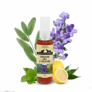 Vinaigre des 4 voleurs animaux chien chat floralpina