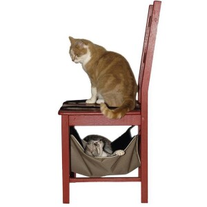 Hamac calin pour chat ou furet de bobby