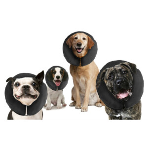 Collerette gonflable en tissu zen collar xsmall par holland animal care