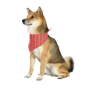 Bandana luge pour chiot ou chien bobby