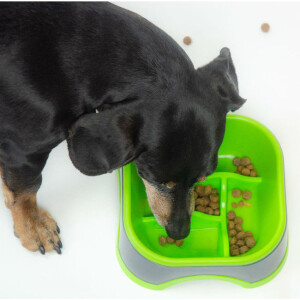 Gamelle anti-glouton amaze pinwheel par holland animal care