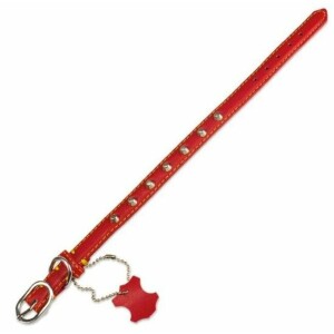 Collier en cuir rouge pour chien par arquivet