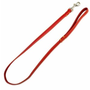 Laisse en cuir rouge pour chien par arquivet