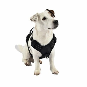 Harnais rando walk tout terrain pour chien bobby