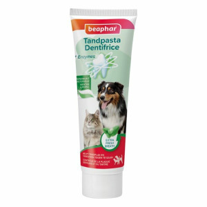 Dentifrice menthe et persil chien et chat 100 g beaphar