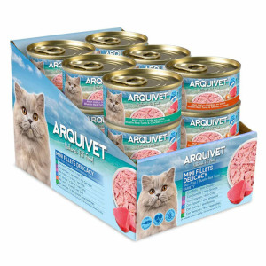 Pack filets thon rouge en sauce 6 saveurs pour chat 24 x 80 g arquivet