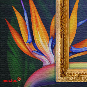 Folia IMAGin WW Canvas, PVC, mat, biały, 1370 mm x 30 m