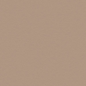 Coala Interior Film betony NH12 Interior Film Dropshipment OMG 240 µ 1220 x 40.00