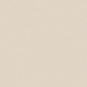Coala Interior Film betony NH49 Interior Film Dropshipment OMG 240 µ 1220 x 40.00