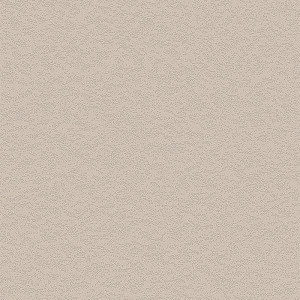 Coala Interior Film betony NH50 Interior Film Dropshipment OMG 240 µ 1220 x 40.00