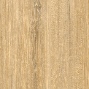 Coala Interior Film drewna Interior Film Wood Dropshipment OMG Light Oak 250 µ 1220 x 50.00