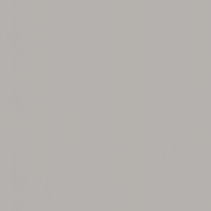 Coala Interior Film jednolite kolory Interior Film Solid Colours Dropshipment OMG Cream Grey 215 µ 1220 x 50.00