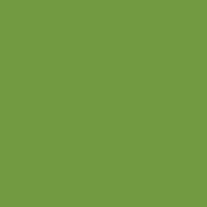 Coala Interior Film jednolite kolory Interior Film Solid Colours Dropshipment OMG Poison Green 225 µ 1220 x 50.00