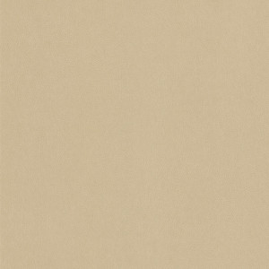 Coala Interior Film tkaniny Interior Film Fabric Dropshipment OMG Caramel Leather 240 µ 1220 x 50.00
