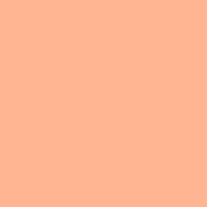Coala Interior Film jednolite kolory Interior Film Solid Colours Dropshipment OMG Peach Light 220 µ 1220 x 50.00