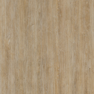Coala Interior Film drewna Interior Film Wood Dropshipment OMG Light Brown Oak 250 µ 1220 x 50.00