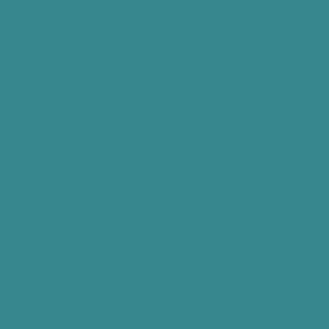 Coala Interior Film jednolite kolory Interior Film Solid Colours Dropshipment OMG Bleu Céleste 200 µ 1220 x 50.00